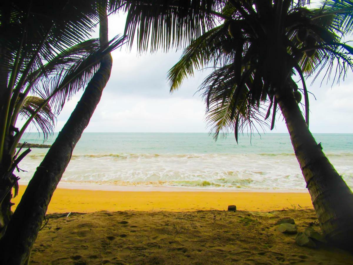 Shanika Beach Inn Tangalle Exteriör bild